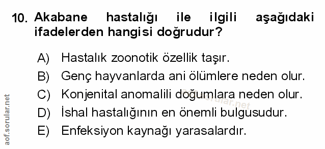 10. soru: Akabane hastalığı ile ilgili aşağıdaki ifadelerden hangisi doğrudur? A) Hastalık zoonotik özellik taşır. B) Genç hayv…