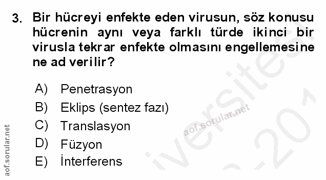 3. soru: Bir hücreyi enfekte eden virusun, söz konusu hücrenin aynı veya farklı türde ikinci bir virusla tekrar enfekte olması…