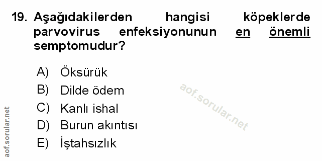 19. soru: Aşağıdakilerden hangisi köpeklerde parvovirus enfeksiyonunun en önemli semptomudur? A) Öksürük B) Dilde ödem C) Kanlı…