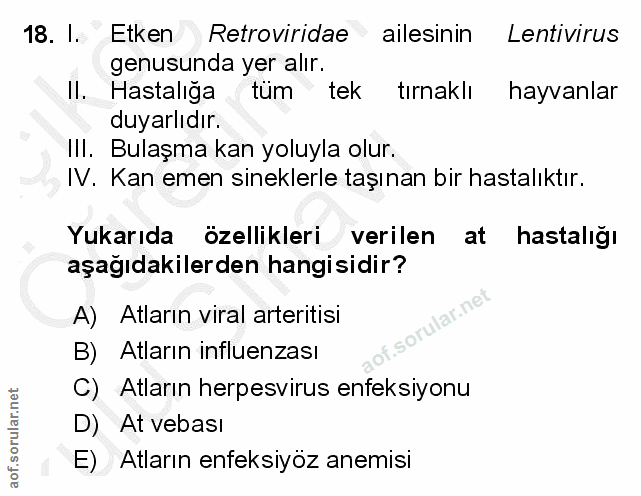18. soru: I. Etken Retroviridae ailesinin Lentivirus genusunda yer alır. Il. Hastalığa tüm tek tırnaklı hayvanlar duyarlıdır. I…
