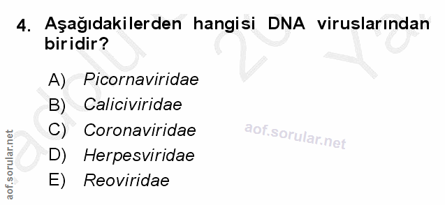 4. soru: Aşağıdakilerden hangisi DNA viruslarından biridir? A) Picornaviridae B) Caliciviridae C) Coronaviridae D) Herpesvirid…