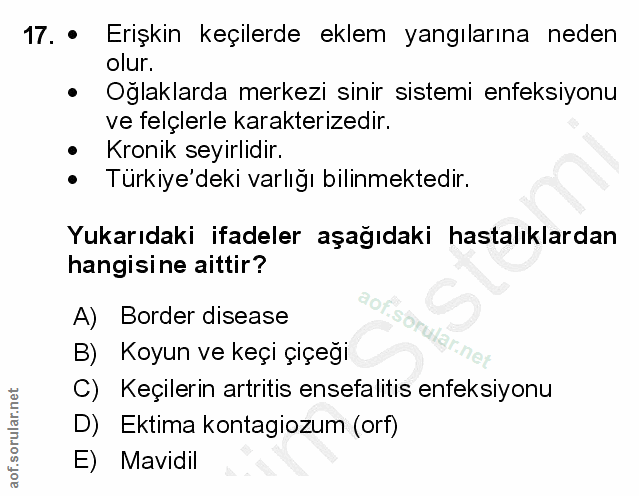 17. soru: • Erişkin keçilerde eklem yangılarına neden olur. • Oglaklarda merkezi sinir sistemi enfeksiyonu ve felçlerle karakte…