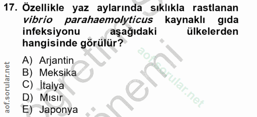 17. soru: Özellikle yaz aylarında sıklıkla rastlanan vibrio parahaemolyticus kaynaklı gıda ineksiyonu aşağıdaki ülkelerden hang…
