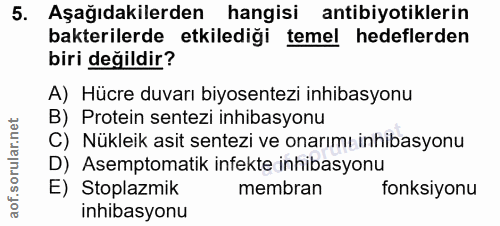 5. soru: Aşağıdakilerden hangisi antibiyotiklerin bakterilerde etkilediği temel hedeflerden biri değildir? A) Hücre duvarı biy…