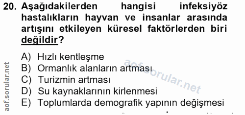 20. soru: Aşağıdakilerden hangisi infeksiyöz hastalıkların hayvan ve insanlar arasında artışını etkileyen küresel faktörlerden…