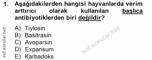 1. soru: Aşağıdakilerden hangisi hayvanlarda verim arttıricı olarak kullanılan başlıca antibiyotiklerden biri değildir? A) Tiy…