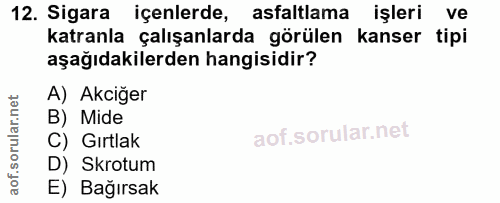 12. soru: Sigara içenlerde, asfaltlama işleri ve katranla çalışanlarda görülen kanser tipi aşağıdakilerden hangisidir? A) Akciğ…