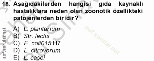 18. soru: Aşağıdakilerden hangisi gıda kaynaklı hastalıklara neden olan zoonotik özellikteki patojenlerden biridir? A) L. plant…