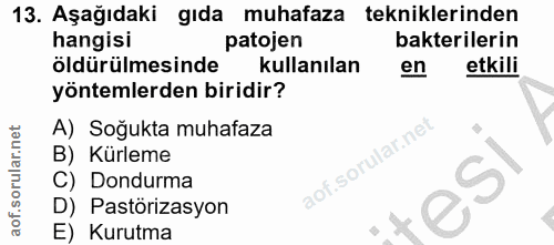 13. soru: Aşağıdaki gıda muhafaza tekniklerinden hangisi patojen bakterilerin öldürülmesinde kullanılan en etkili yöntemlerden…
