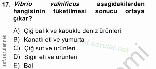 17. soru: Vibrio vulnificus aşağıdakilerden hangisinin tüketilmesi sonucu ortaya çıkar? A) Çiğ balık ve kabuklu deniz ürünleri…