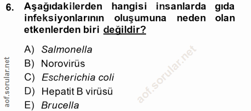 6. soru: Aşağıdakilerden hangisi insanlarda gida ineksiyonlarının oluşumuna neden olan etkenlerden biri değildir? A) Salmonell…