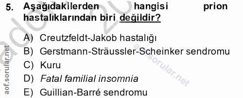 5. soru: Aşağıdakilerden hangisi prion hastalıklarından biri değildir? A) Creutzfeldt-Jakob hastalığı B) Gerstmann-Sträussler-…