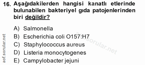 16. soru: Aşağıdakilerden hangisi kanatlı etlerinde bulunabilen bakteriyel gıda patojenlerinden biri değildir? A) Salmonella B)…