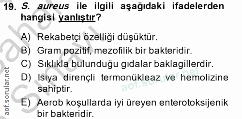 19. soru: S. aureus ile ilgili aşağıdaki ifadelerden hangisi yanlıştır? A) Rekabetçi özelliği düşüktür. B) Gram pozitif, mezofi…