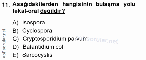 11. soru: Aşağıdakilerden hangisinin bulaşma yolu fekal-oral değildir? A) Isospora B) Cyclospora C) Cryptosporidium parvum orul…