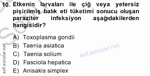 10. soru: Etkenin larvaları ile çiğ veya yetersiz pişirilmiş balık eti tüketimi sonucu oluşan paraziter ineksiyon aşağıdakilerd…