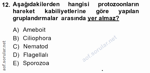 12. soru: Aşağıdakilerden hangisi protozoonlarin hareket kabiliyetlerine göre yapılan gruplandırmalar arasında yer almaz? A) Am…