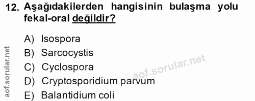 12. soru: Aşağıdakilerden hangisinin bulaşma yolu fekal-oral değildir? A) Isospora B) Sarcocystis of. C) Cyclospora D) Cryptosp…