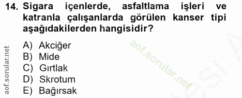 14. soru: Sigara içenlerde, asfaltlama işleri ve katranla çalışanlarda görülen kanser tipi aşağıdakilerden hangisidir? A) Akciğ…