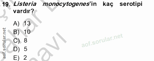 19. soru: Listeria monocytogenes'in kaç serotipi vardır? A) 13 B) 10 C) 8 D) 5 E) 2