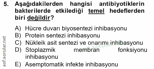 5. soru: Aşağıdakilerden hangisi antibiyotiklerin bakterilerde etkilediği temel hedeflerden biri değildir? A) Hücre duvarı biy…