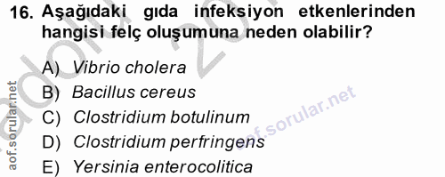 16. soru: Aşağıdaki gıda ineksiyon etkenlerinden hangisi felç oluşumuna neden olabilir? A) Vibrio cholera B) Bacillus cereus C)…