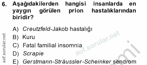 6. soru: Aşağıdakilerden hangisi insanlarda en yaygın görülen prion hastalıklarından biridir? A) Creutzfeld-Jakob hastalığı B)…