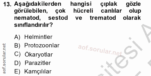 13. soru: Aşağıdakilerden hangisi çıplak gözle görülebilen, çok hücreli canlilar olup nematod, sestod ve trematod olarak sınıfl…
