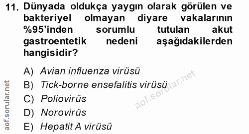11. soru: Dünyada oldukça yaygın olarak görülen ve bakteriyel olmayan diyare vakalarının %95 inden sorumlu tutulan akut gastroe…