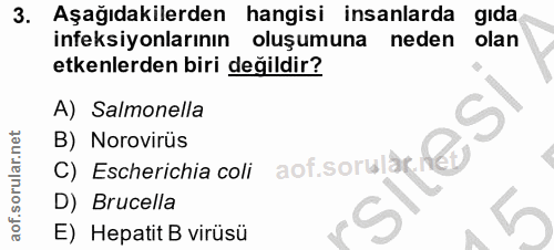 3. soru: Aşağıdakilerden hangisi insanlarda gıda ineksiyonlarının oluşumuna neden olan etkenlerden biri değildir? A) Salmonell…