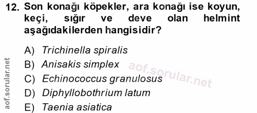 12. soru: Son konağı köpekler, ara konağı ise koyun, keçi, sığır ve deve olan helmint aşağıdakilerden hangisidir? A) Trichinell…