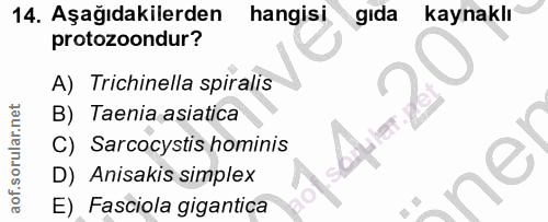 14. soru: Aşağıdakilerden hangisi gida kaynaklı protozoondur? A) Trichinella spiralis B) Taenia asiatica C) Sarcocystis hominis…