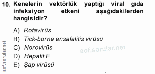 10. soru: Kenelerin vektörlük yaptığı viral gıda ineksiyon etkeni aşağıdakilerden hangisidir? A) Rotavirüs B) Tick-borne ensafa…