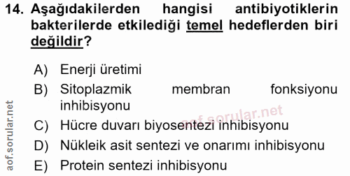 14. soru: Aşağıdakilerden | hangisi antibiyotiklerin bakterilerde etkilediği temel hedeflerden biri değildir? A) Enerji üretimi…