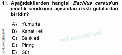 11. soru: Aşağıdakilerden hangisi Bacillus cereus'un emetik sendromu açısından riskli gıdalardan biridir? A) Yumurta B) Kanatlı…