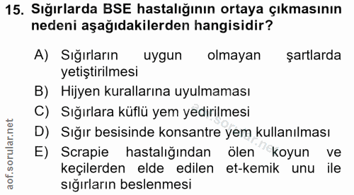 15. soru: Sığırlarda BSE hastalığının ortaya çıkmasının nedeni aşağıdakilerden hangisidir? A) Siğırların uygun olmayan şartlard…