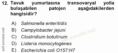 12. soru: Tavuk yumurtasına transovaryal yolla bulaşabilen patojen aşağıdakilerden hangisidir? A) Salmonella enteritidis B) Cam…