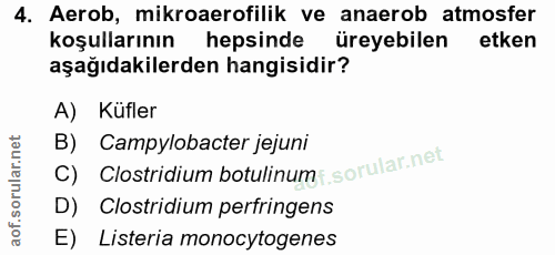 4. soru: Aerob, mikroaerofilik ve anaerob atmosfer koşullarının hepsinde üreyebilen etken aşağıdakilerden hangisidir? A) Küfle…