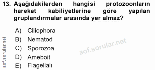 13. soru: Aşağıdakilerden hangisi protozoonların hareket kabiliyetlerine göre yapılan gruplandirmalar arasında yer almaz? A) Ci…