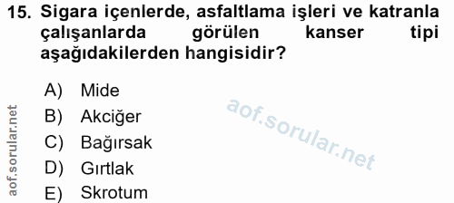 15. soru: Sigara içenlerde, asfaltlama işleri ve katranla çalışanlarda görülen kanser tipi aşağıdakilerden hangisidir? A) Mide…