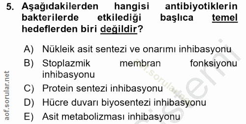5. soru: Aşağıdakilerden hangisi antibiyotiklerin bakterilerde etkilediği başlıca temel hedeflerden biri değildir? A) Nükleik…