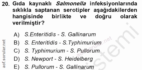 20. soru: Gıda kaynaklı Salmonella ineksiyonlarında sıklıkla saptanan serotipler aşağıdakilerden hangisinde birlikte ve doğru o…