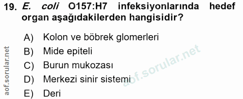 19. soru: E. coli 0157:H7 infeksiyonlarında hedef organ aşağıdakilerden hangisidir? A) Kolon ve böbrek glomerleri B) Mide epite…