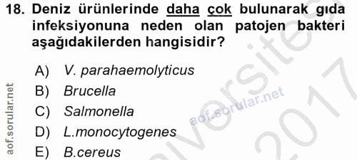 18. soru: Deniz ürünlerinde daha çok bulunarak gıda ineksiyonuna neden olan patojen bakteri aşağıdakilerden hangisidir? A) V. p…