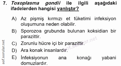 7. soru: Toxoplasma gondii ile ilgili aşağıdaki ifadelerden hangisi yanlıştır? A) Az pişmiş kırmızı et tüketimi ineksiyon oluş…