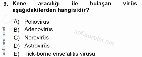 9. soru: Kene aracılığı ile bulaşan virüs aşağıdakilerden hangisidir? A) Poliovirüs B) Adenovirüs C) Norovirüs D) Astrovirüs E…