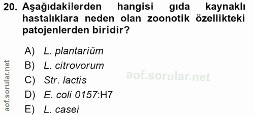 20. soru: Aşağıdakilerden hangisi gıda kaynaklı hastalıklara neden olan zoonotik özellikteki patojenlerden biridir? A) L. plant…