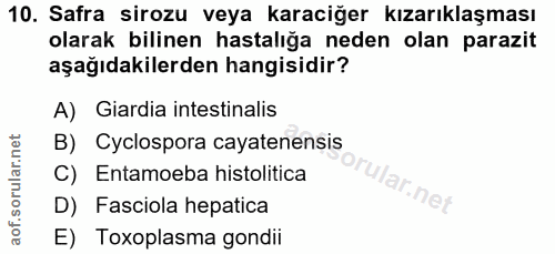 10. soru: Safra sirozu veya karaciğer kızarıklaşması olarak bilinen hastalığa neden olan parazit aşağıdakilerden hangisidir? A)…
