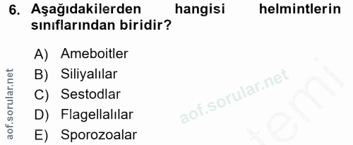 6. soru: Aşağıdakilerden hangisi helmintlerin sınıflarından biridir? A) Ameboitler B) Siliyalılar C) Sestodlar D) Flagellalıla…