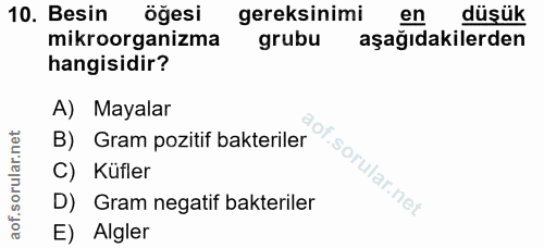 10. soru: Besin öğesi gereksinimi en düşük mikroorganizma grubu aşağıdakilerden hangisidir? A) Mayalar B) Gram pozitif bakteril…